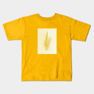 Dictyosiphon foeniculaceus Kids T-Shirt